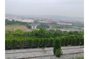 静谧之地的宁静与和谐